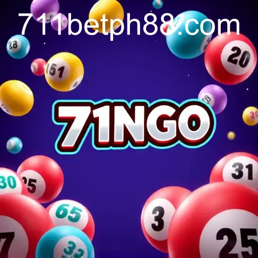 Exploring the Exciting World of Bingo on 711bet