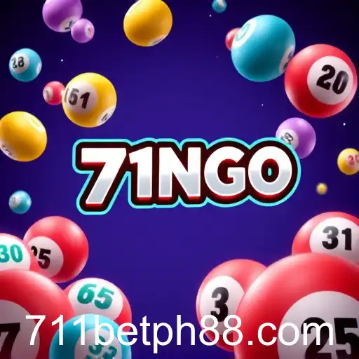 Exploring the Exciting World of Bingo on 711bet